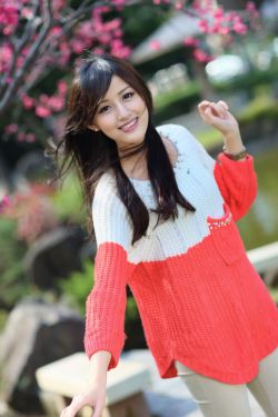 《金花瓶楷梅花2》